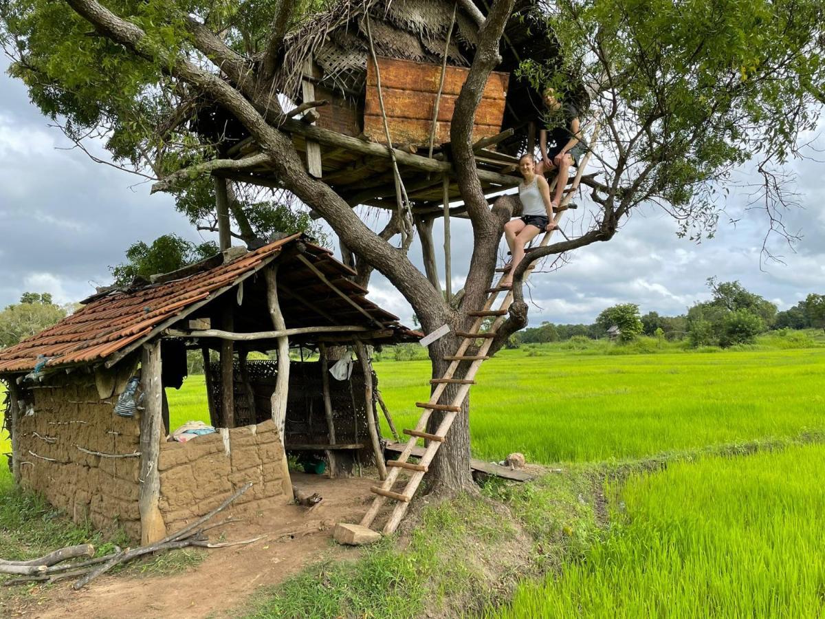 Thilina Homestay Сігірія Екстер'єр фото